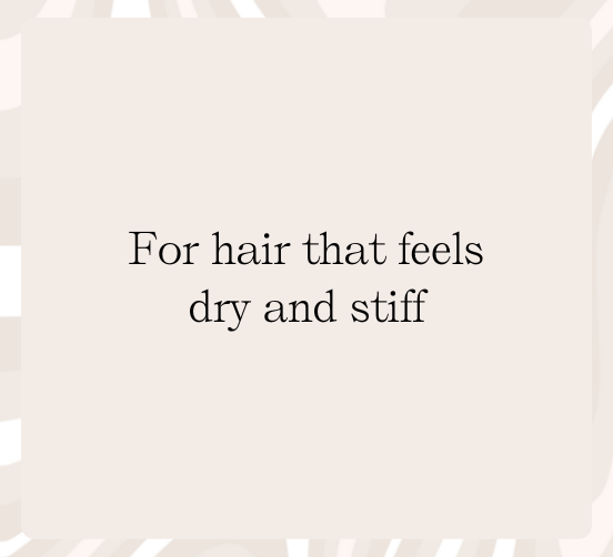 HairMNL Damaged Hair that is Dry and Frizzy - For hair that feels dry and stiff
