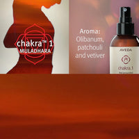 AVEDA Chakra 1 Balancing Pure-Fume Mist - Grounded 100ml - HairMNL