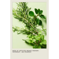 AVEDA Rosemary Mint Purifying Shampoo 250ml Fragrance - HairMNL