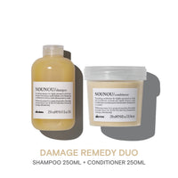 Davines NOUNOU Damage Remedy Duo