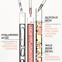 Kérastase Gloss Absolu Anti-Frizz Glaze Duo Ingredients