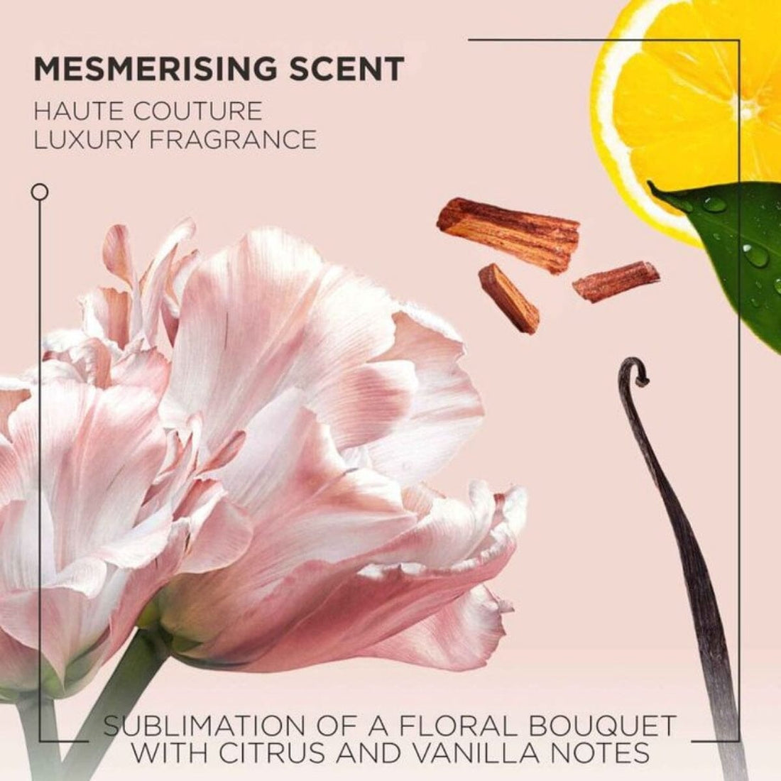 HairMNL Kérastase Gloss Absolu Hydra-Illuminating Shampoo 500ml