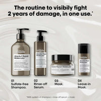 L'Oréal Professionnel Serie Expert Absolut Repair Molecular Ritual Steps - HairMNL
