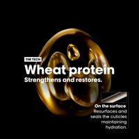 L'Oréal Professionnel Serie Expert Absolut Repair Gold Limited-Edition Holiday Gift Set Ingredient - HairMNL