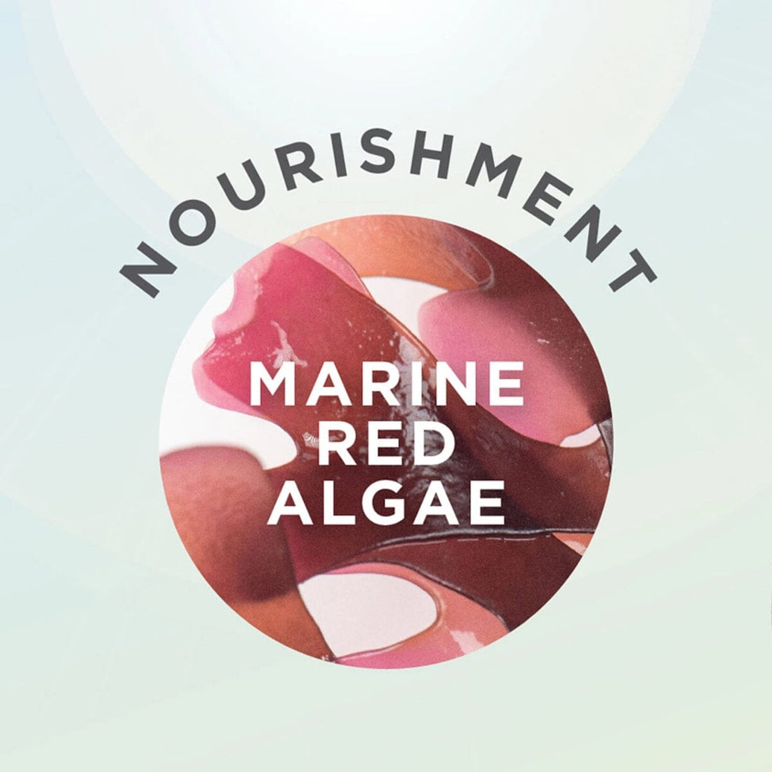 HairMNL Sally Hansen Sally Hansen Good Kind Pure Demi Matte - Roasted Chestnut