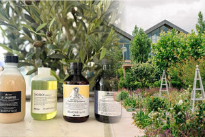 Why Davines? Italian Heritage, B Corp, and Sustainability, Explained