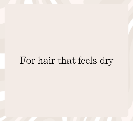 HairMNL Dry Hair Needing Moisture - For hair that feels dry
