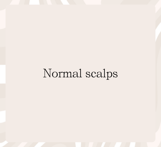 HairMNL Medium to Coarse Hair that is Frizzy - Normal Scalps