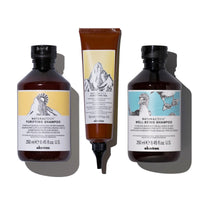 Davines Purifying and Well-Being Anti-Dandruff Therapy Set - HairMNL