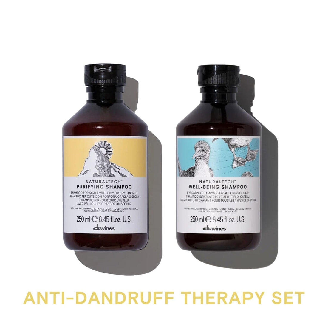 Davines Purifying and Well-Being Shampoo 250ml Anti-Dandruff Therapy Set - HairMNL