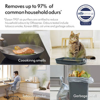 Dyson Purifier Cool ™ Air Purifier Fan TP07 - White/Silver - HairMNL