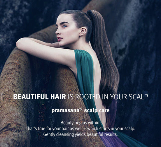Banner Slide 1