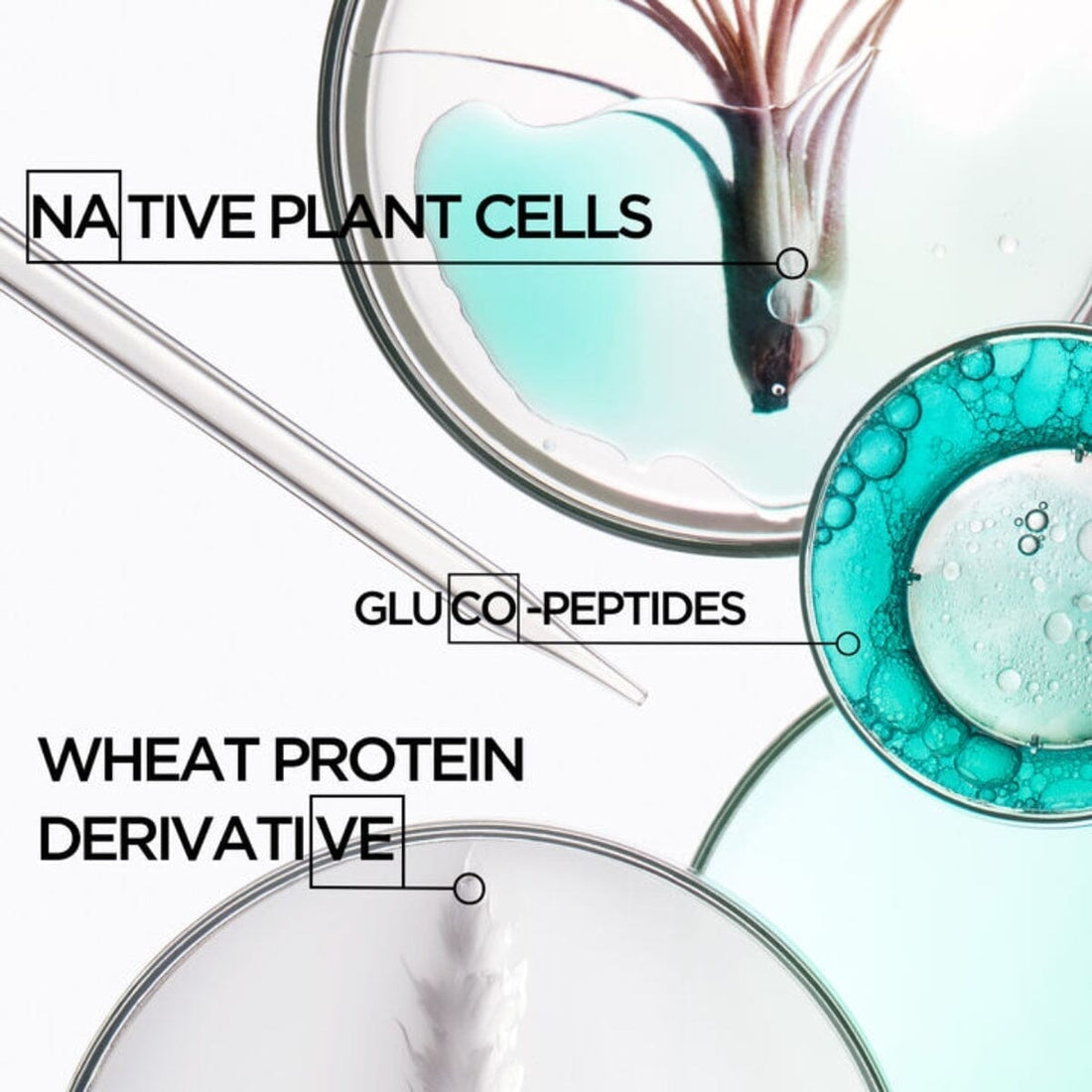 Kérastase Resistance Thérapiste Key Ingredients - HairMNL