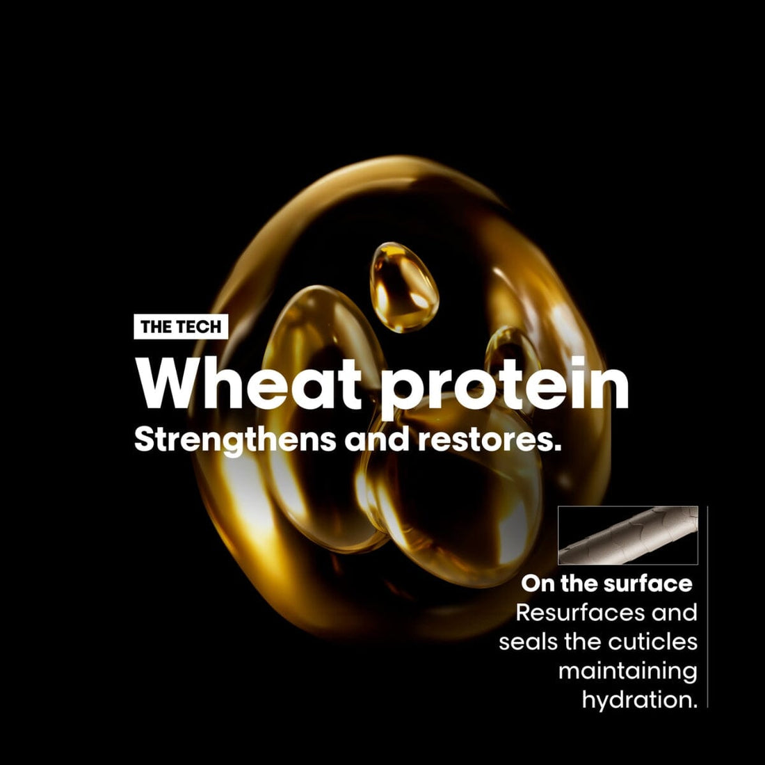 L'Oréal Professionnel Serie Expert Absolut Repair Gold Limited-Edition Holiday Gift Set Ingredient - HairMNL