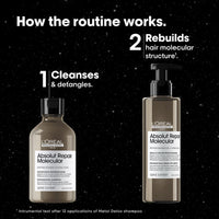 L'Oréal Professionnel Serie Expert Absolut Repair Molecular Duo Limited-Edition Holiday Gift Set - HairMNL