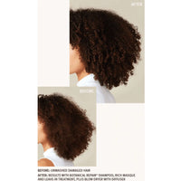 AVEDA Botanical Repair™ Results