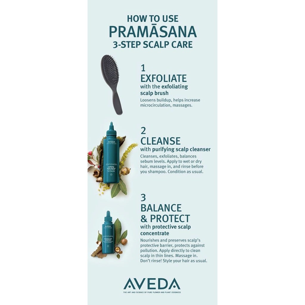 HairMNL HairMNL AVEDA Pramāsana™ Scalp Care System How To Use