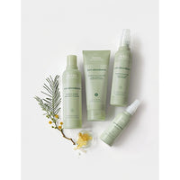 AVEDA Pure Abundance™ Range for Weightless Volume
