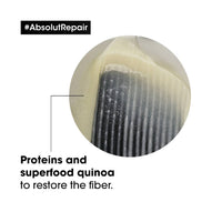 L'Oreal Serie Expert Absolut Repair Gold Shampoo Key Ingredients