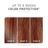Wella Professionals Color Motion Up to 8 Weeks Color Protection